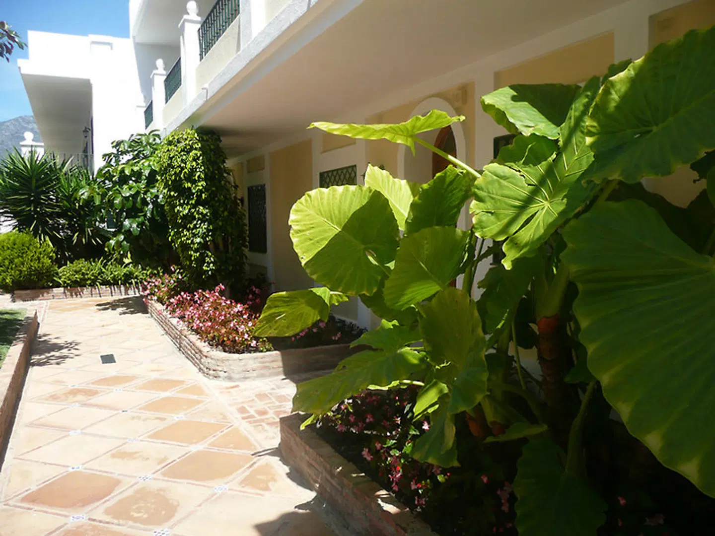 Aloha Gardens Aussenansicht