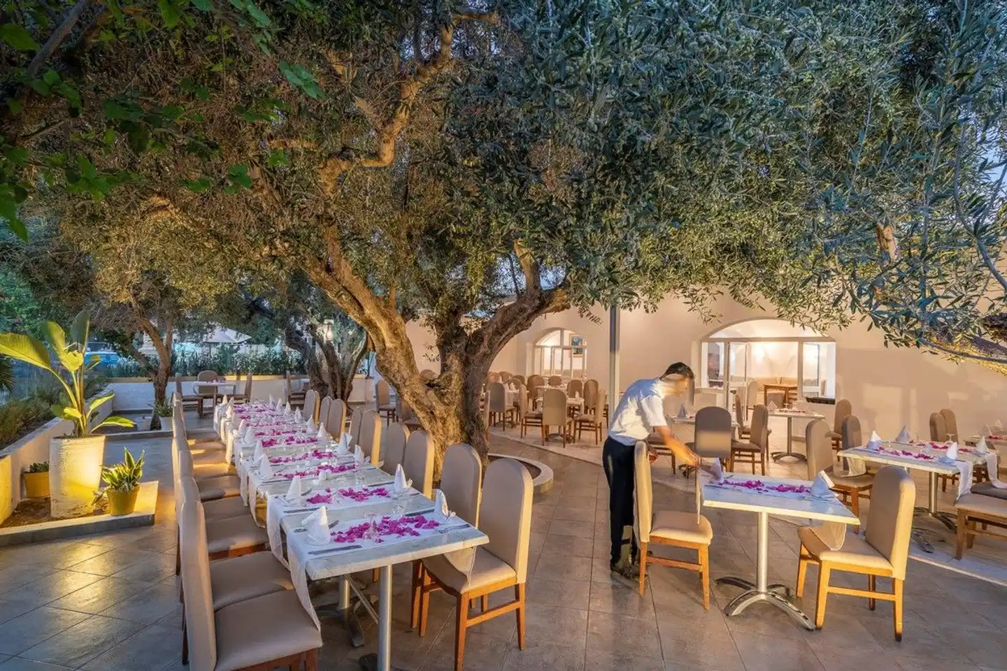 Dessole Le Hammamet Resort Restaurant