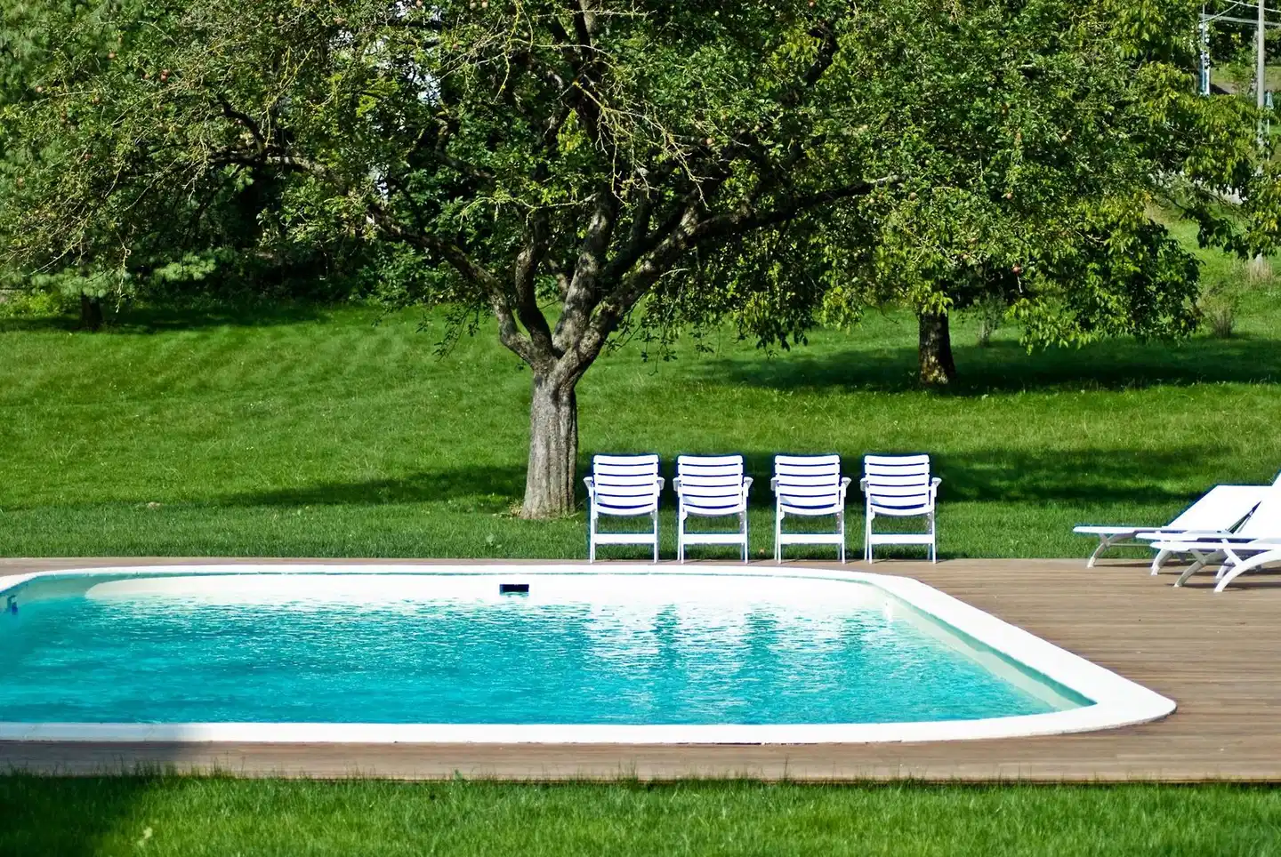 Eco Ambient Hotel Elda Pool