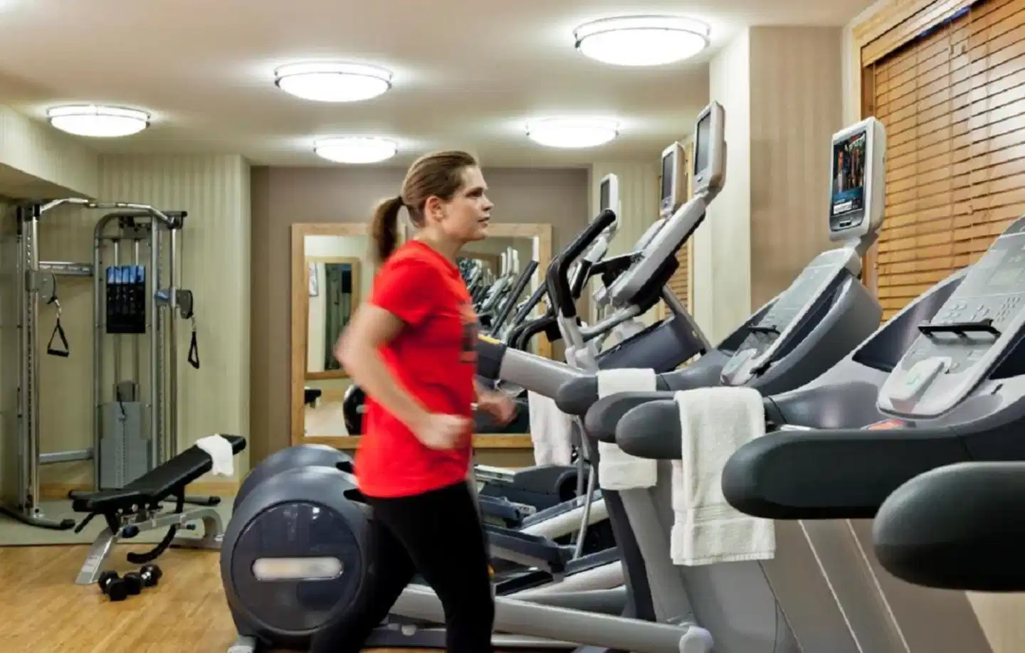 Millennium Hotel Knickerbocker Chicago Sport und Entertainment