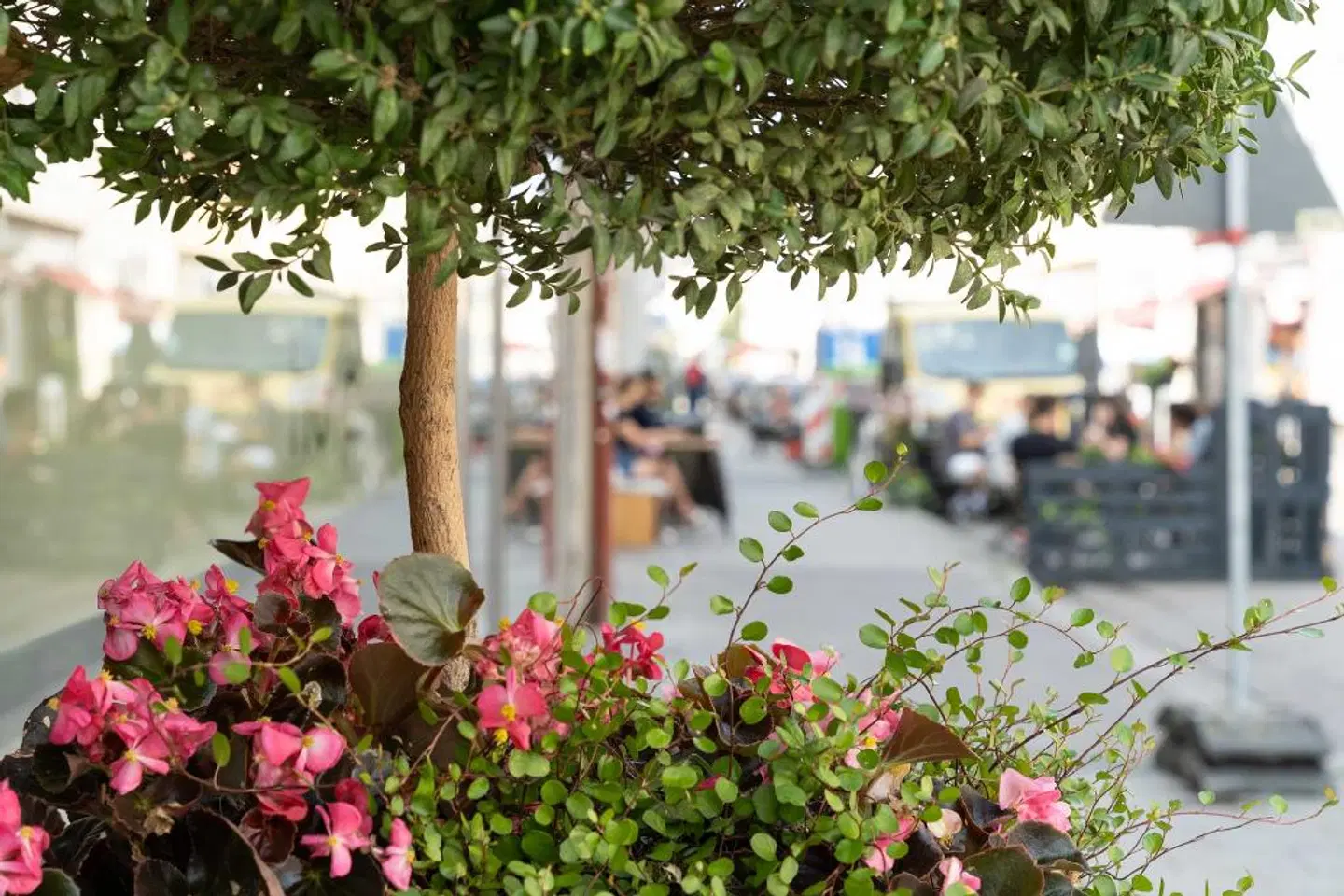 Westend LANDSCAPE