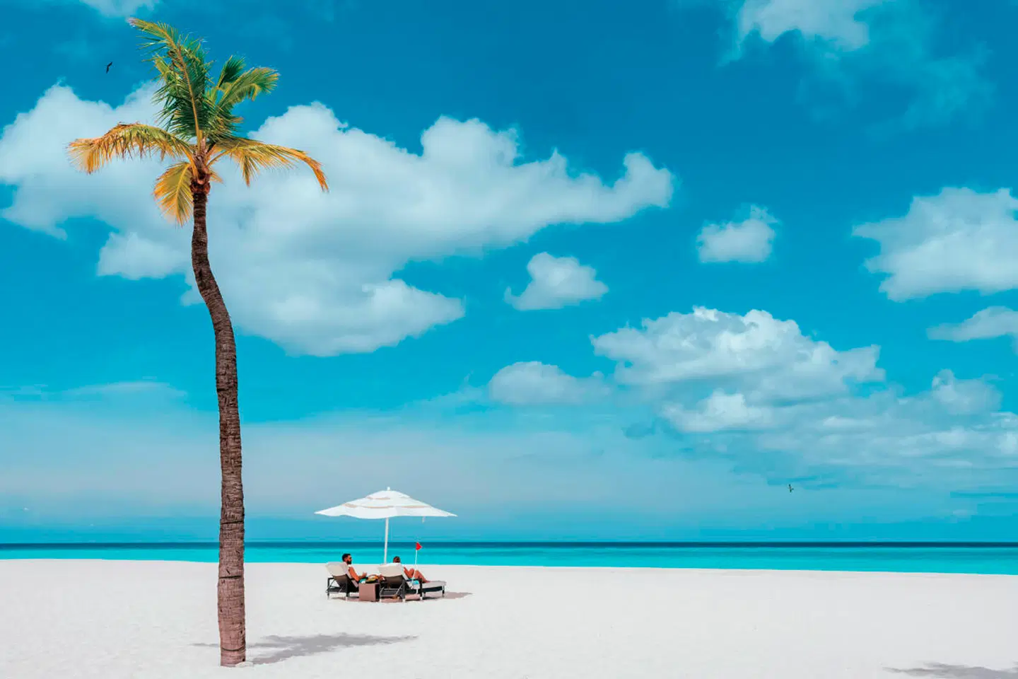 Bucuti & Tara Beach Resorts BEACH