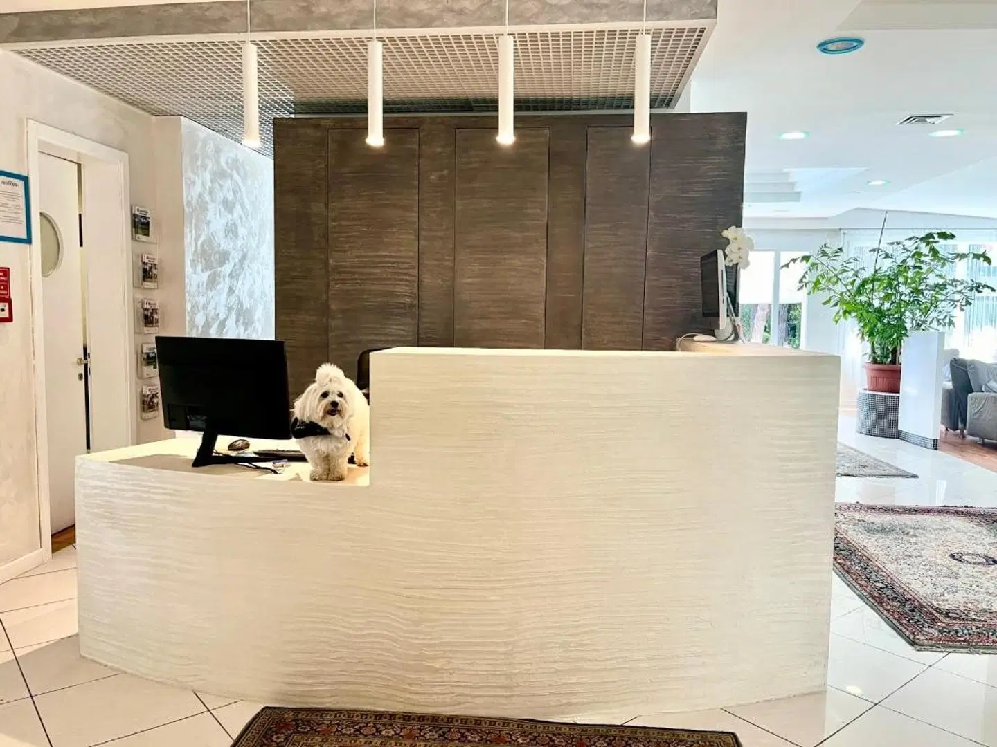 Alemagna HEALTH_BEAUTY