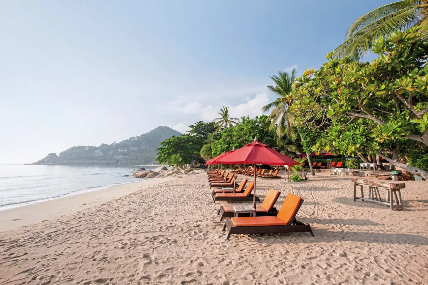 New Star Beach Resort BEACH