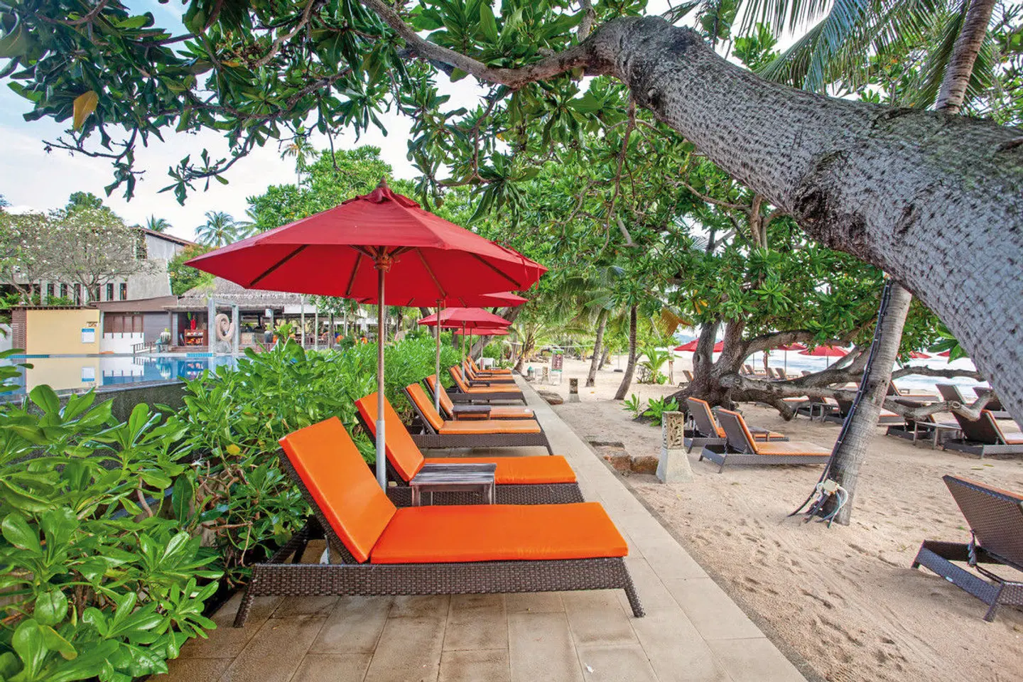 New Star Beach Resort TERRACE