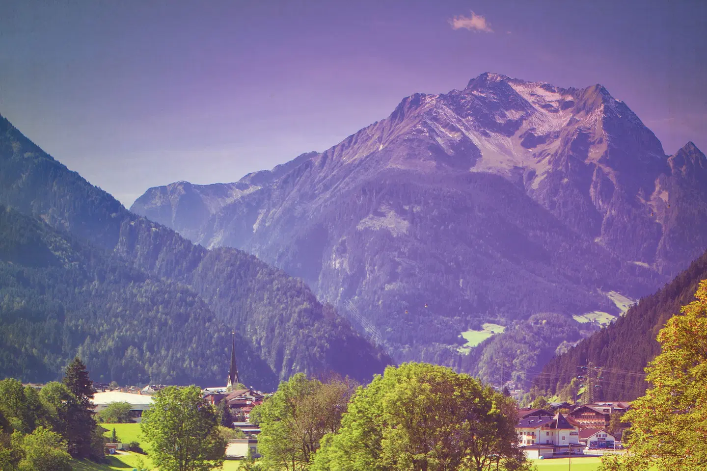 Elisabeth LANDSCAPE