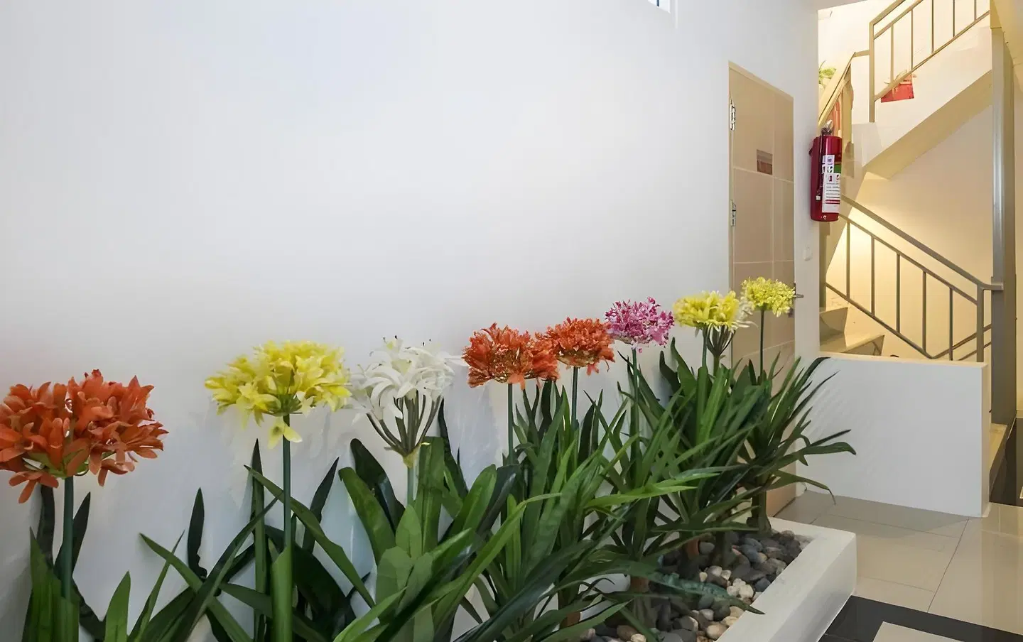 The Frutta Boutique Patong Beach Garten