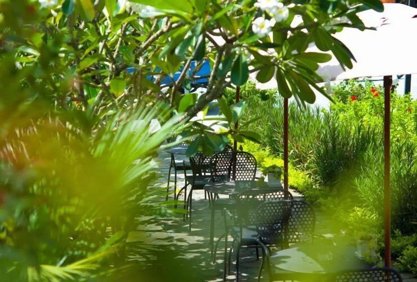 P.S. Hill Resort LANDSCAPE