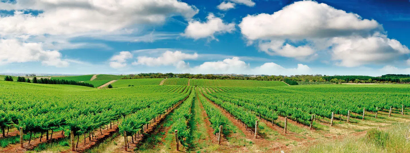 Great Ocean Road & Barossa Valley LANDSCAPE