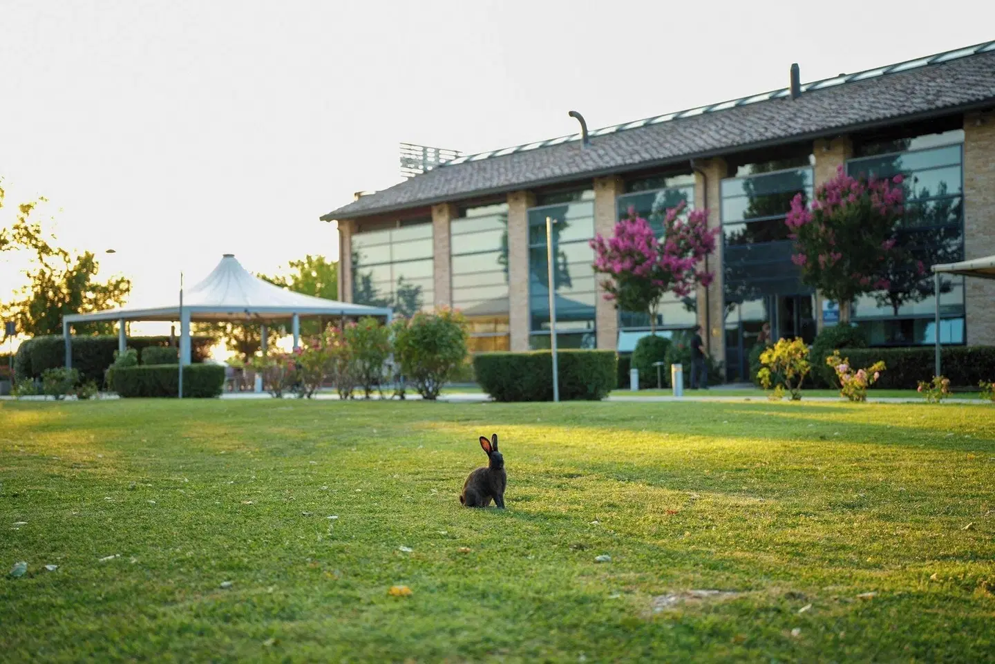 Best Western Hotel Green City Tiere