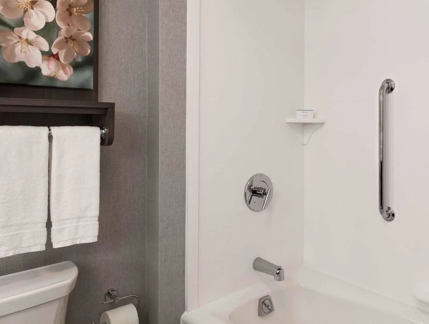 Homewood Suites By Hilton Washington DC Convention Ctr Area Badezimmer