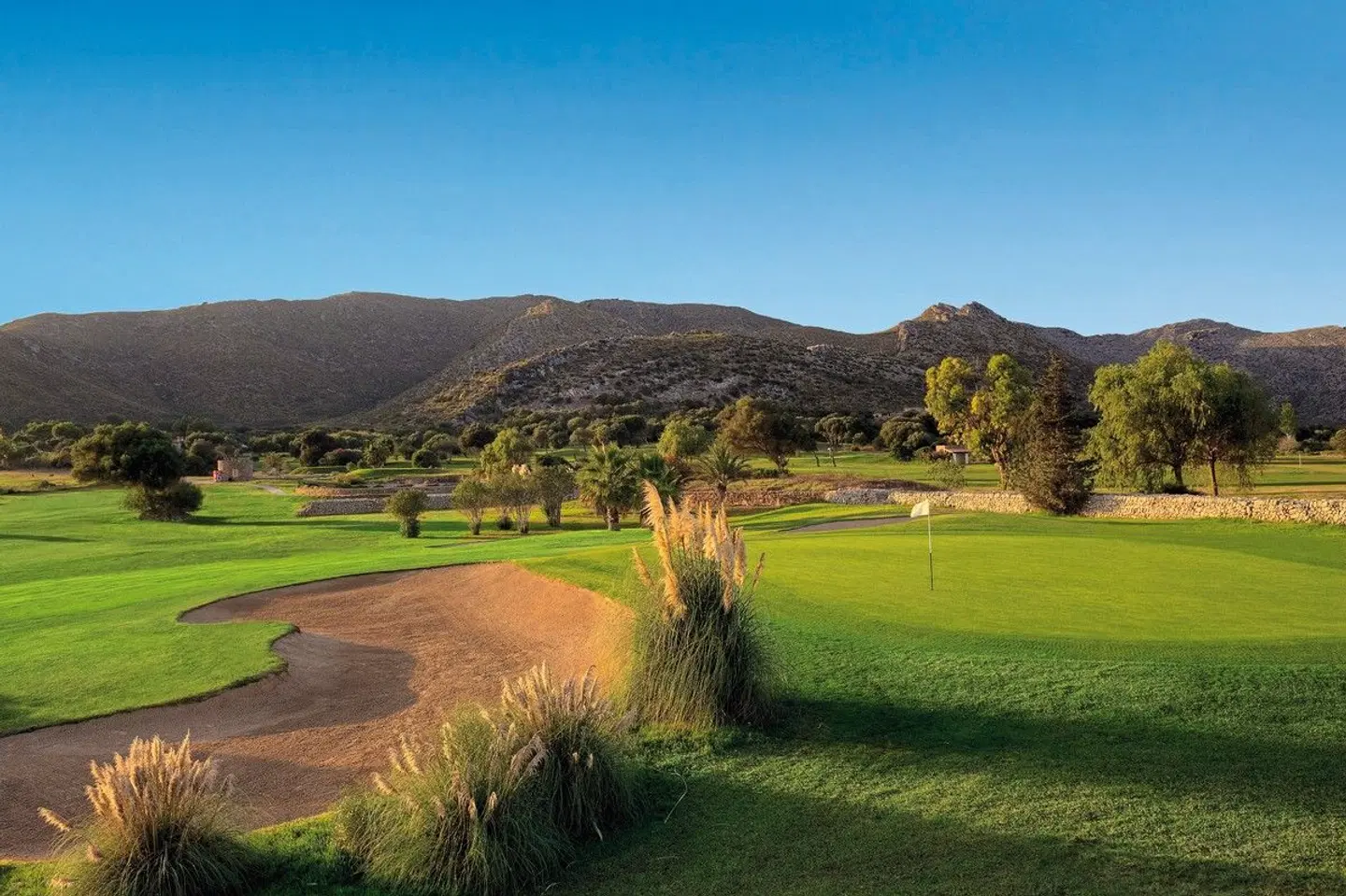 VIVA Golf Adults Only 18+ SPORTS_AND_LEISURE