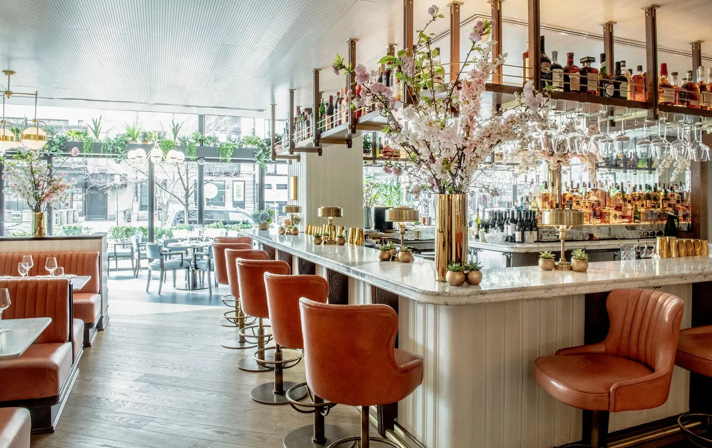 The Dupont Circle Hotel Bar