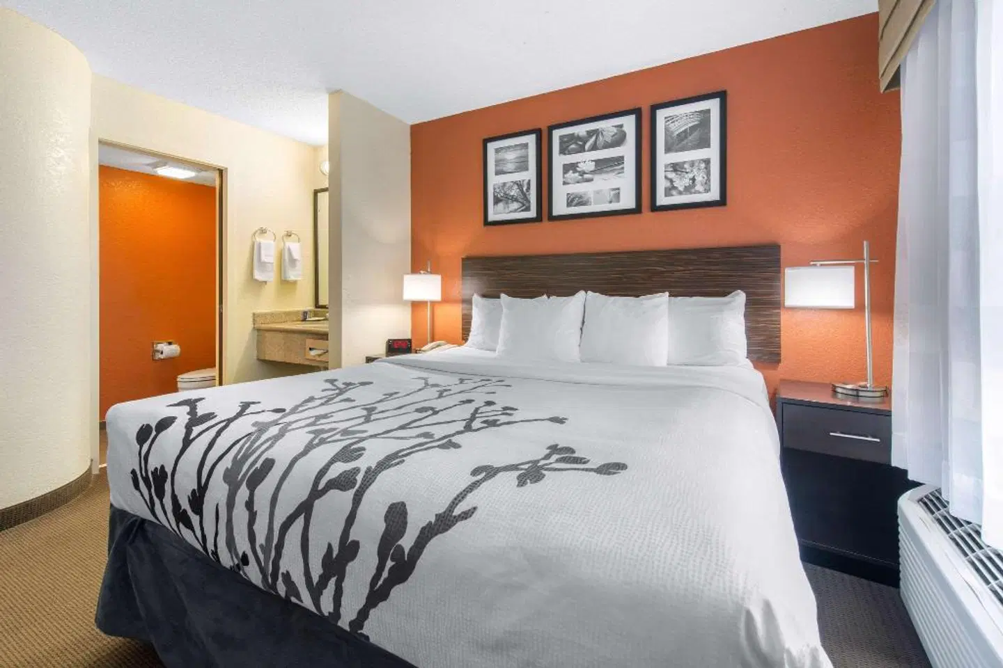 Sleep Inn Sarasota North ROOM_EXAMPLE