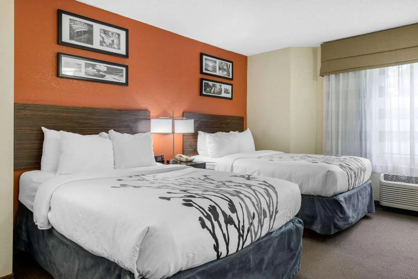 Sleep Inn Sarasota North ROOM_EXAMPLE