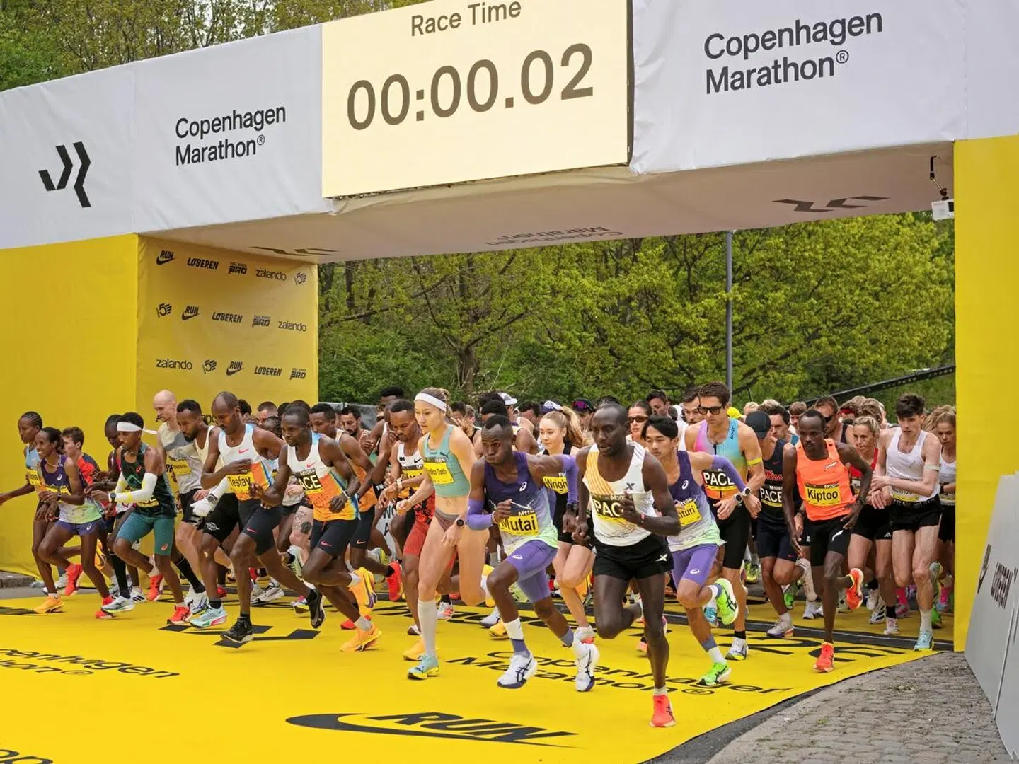 Fairfield by Marriott Copenhagen Nordhavn - inkl. Startnummer Kopenhagen Marathon SPORTS_AND_LEISURE