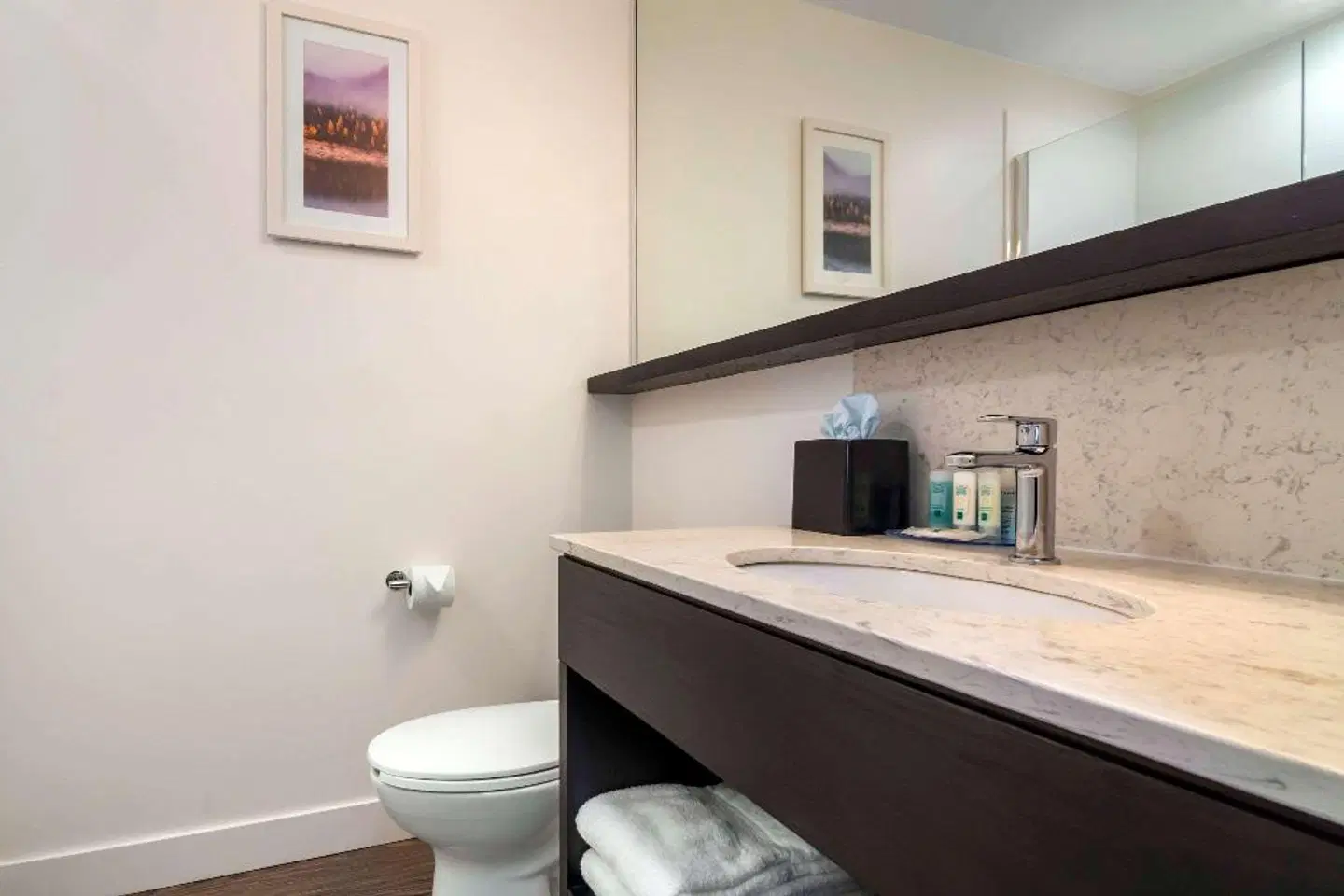 Quality Inn Nanaimo Badezimmer