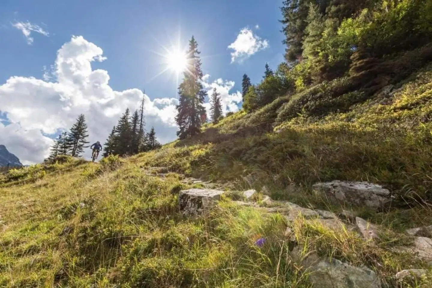 Garfrescha LANDSCAPE