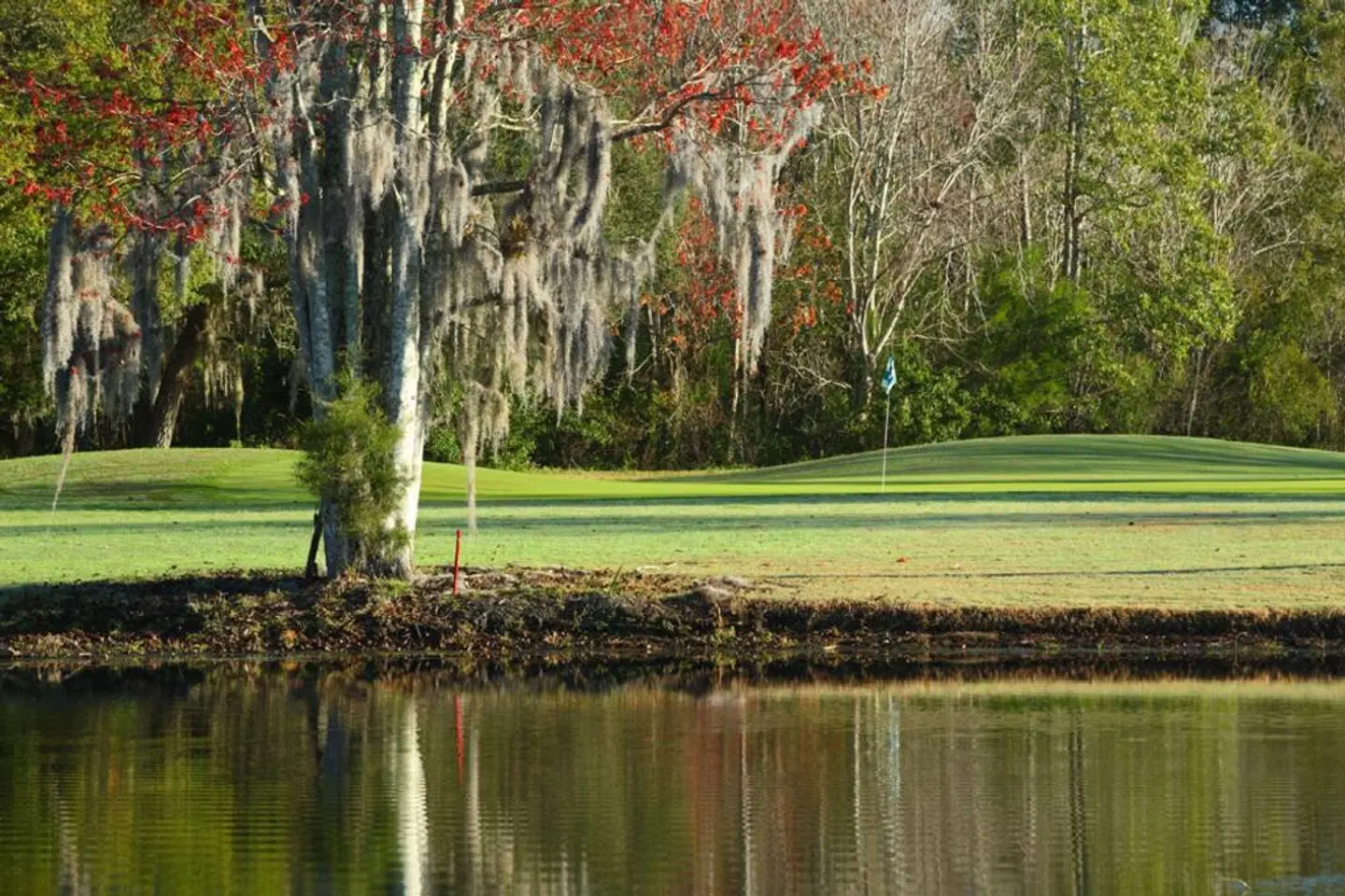 Plantation on Crystal River Garten