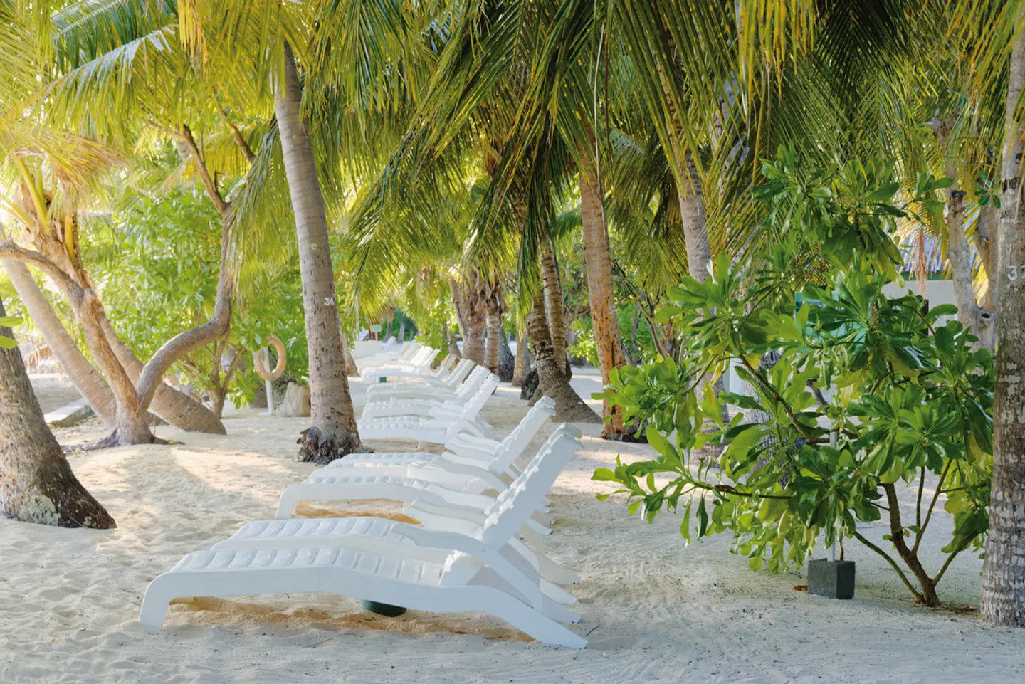 Equator Village Maldives Garten