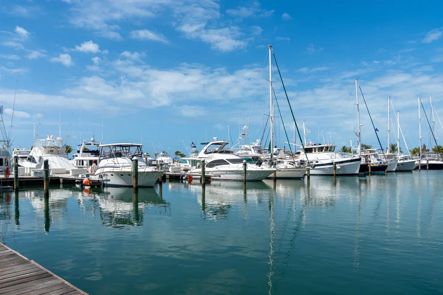 Hilton Key West Resort & Marina SPORTS_AND_LEISURE