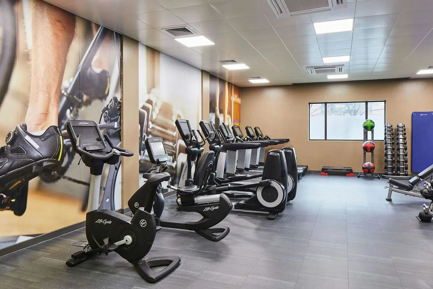 Cardiff Marriott Hotel SPORTS_AND_LEISURE
