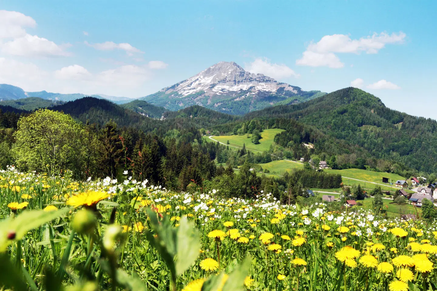 JUFA Hotel Annaberg LANDSCAPE
