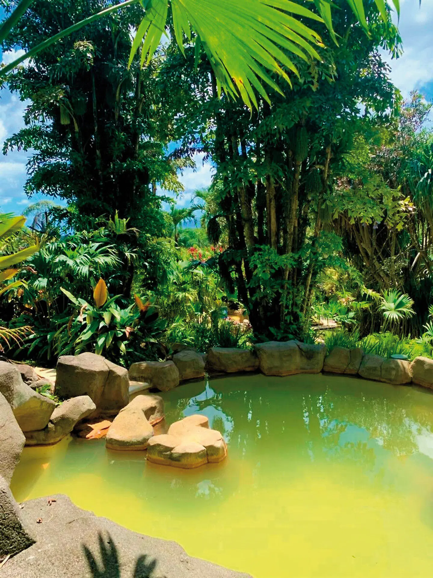 Arenal Paraíso Resort Spa & Thermo Mineral Hotsprings OUTDOOR_POOL