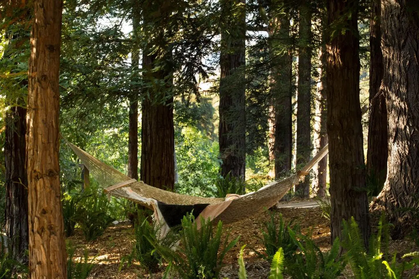 Ventana Big Sur - an Alila resort LANDSCAPE