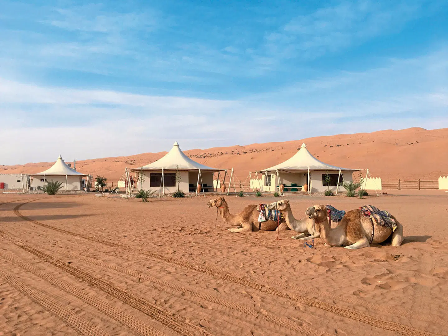 Desert Nights Resort EXTERIOR