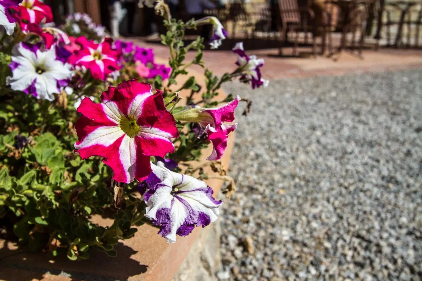 Country Relais Villa L'Olmo Strand