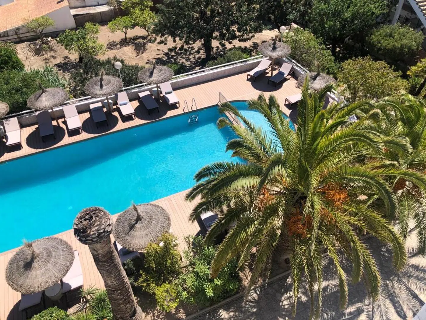 Bella Colina | Vintage Hotel est. 1953 OUTDOOR_POOL