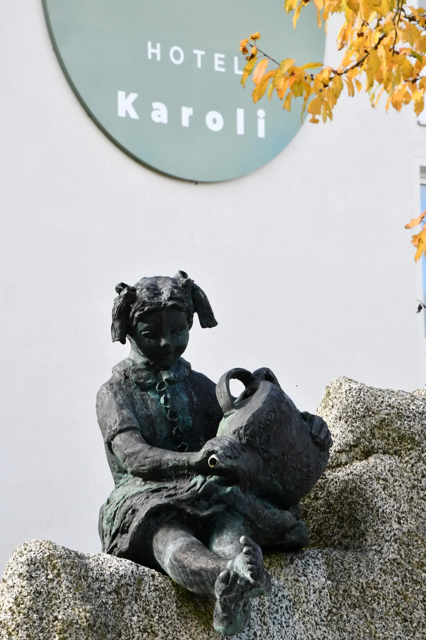 Hotel Karoli Waldkirchen Tiere