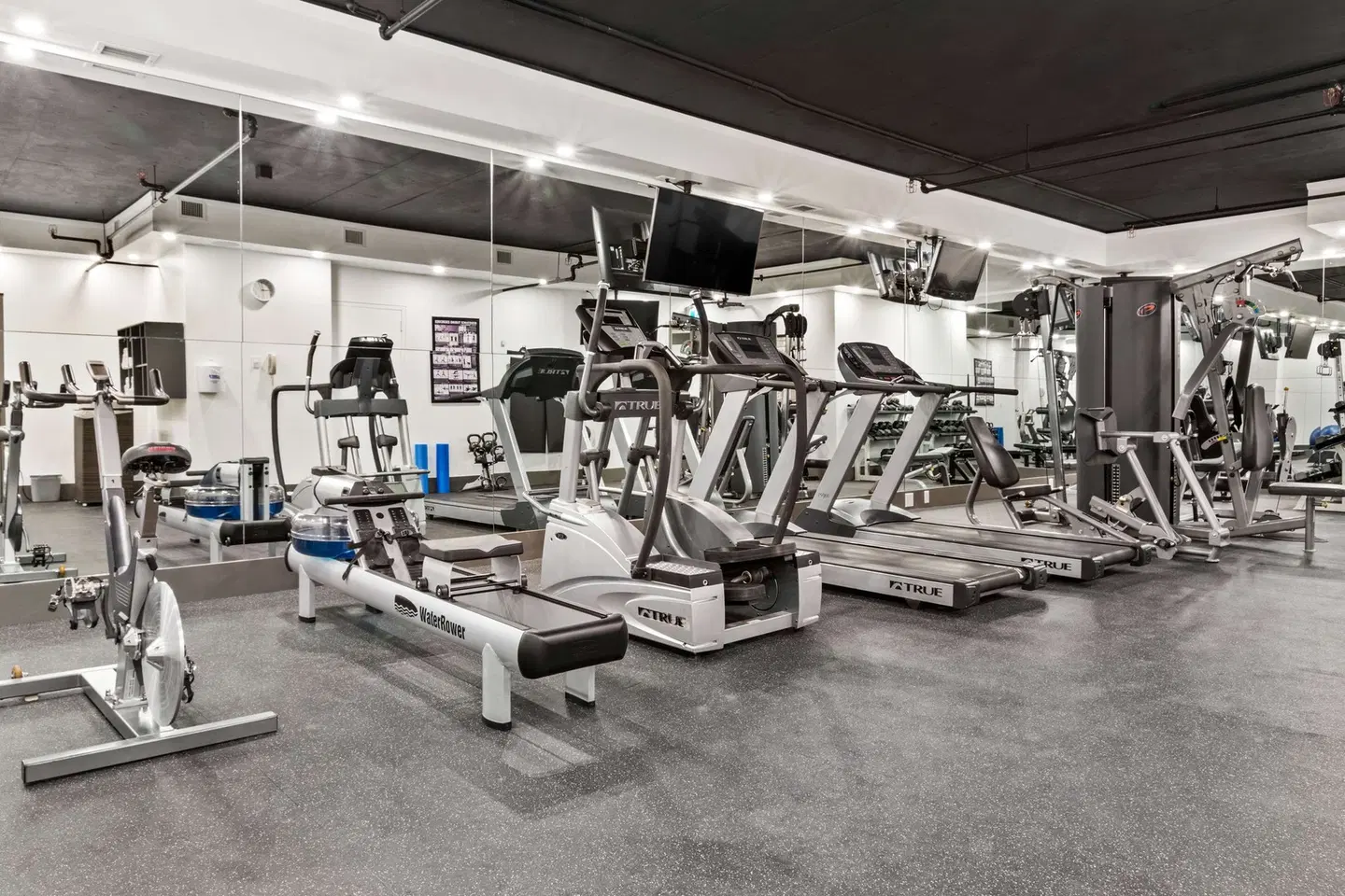 Best Western Premier Calgary Plaza Hotel & Conference Centre SPORTS_AND_LEISURE