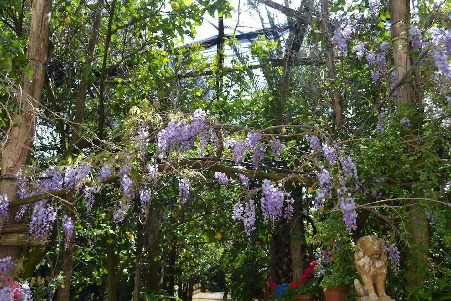 Sorrento Experience Garten