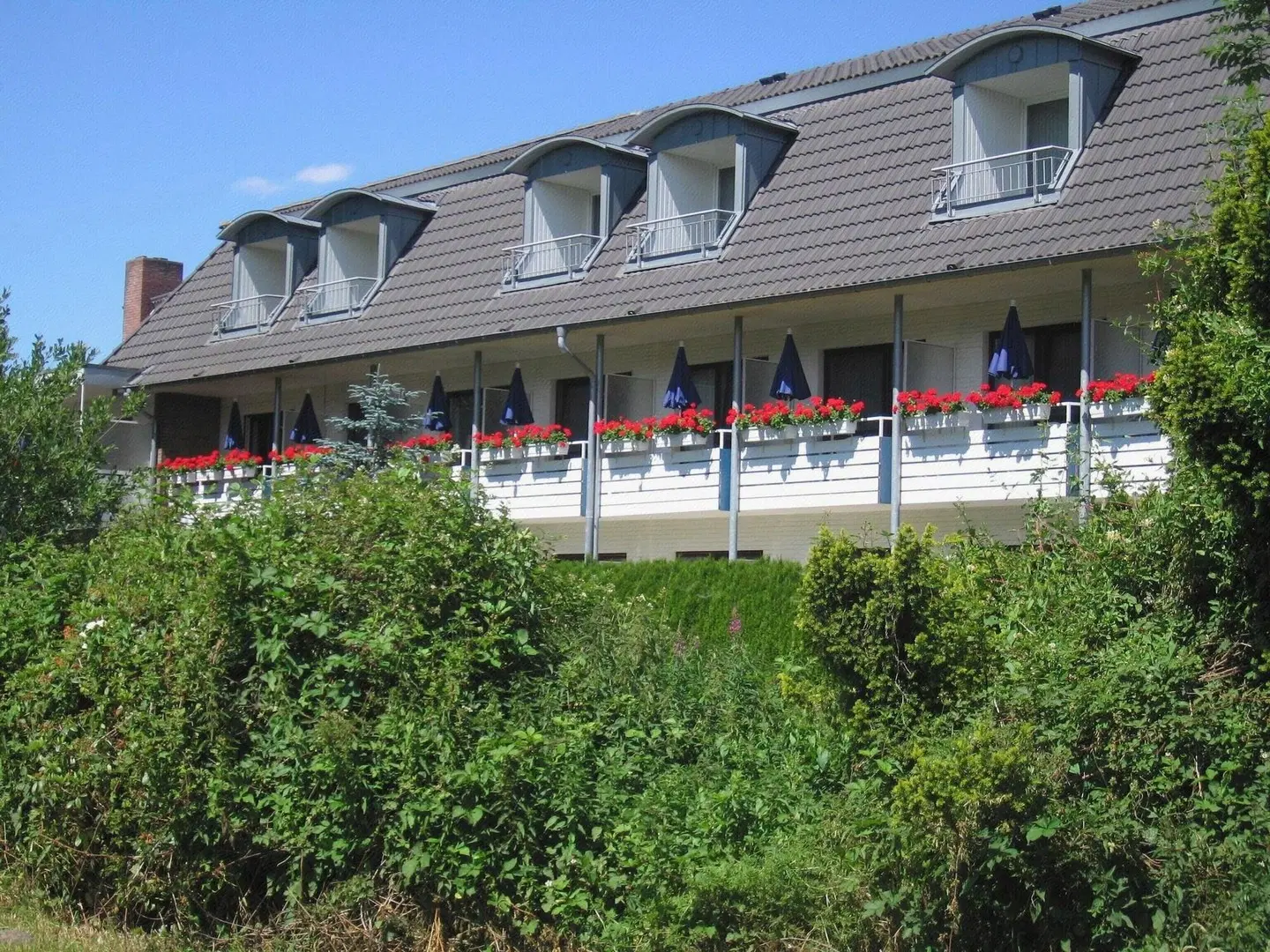 Haus Hientz Zum Rosenteich Garten