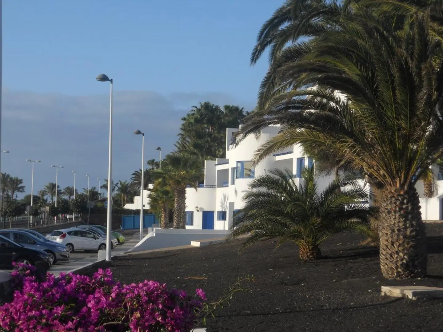 Club Pocillos Garten