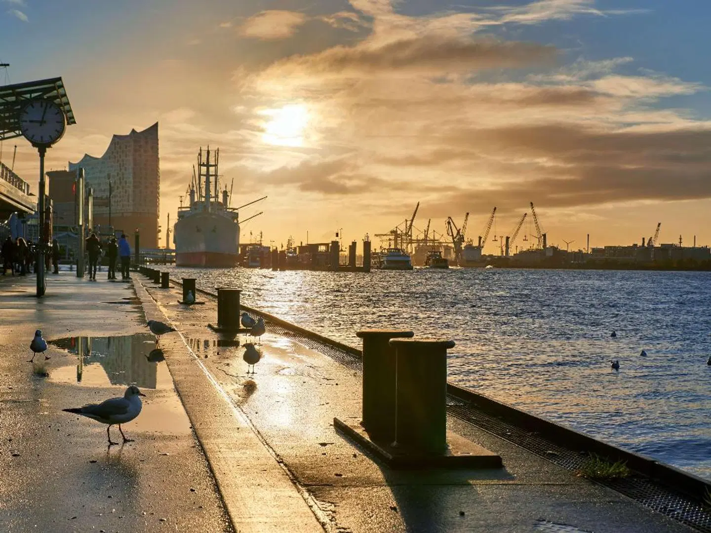 ibis Hamburg St Pauli Messe LANDSCAPE
