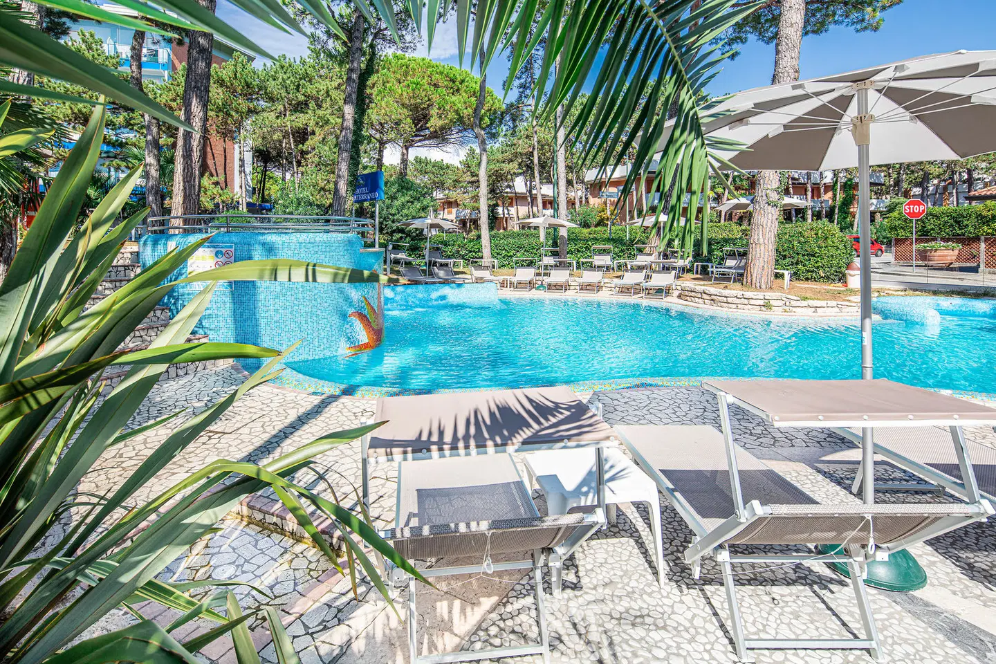 Hotel Mediterraneo OUTDOOR_POOL