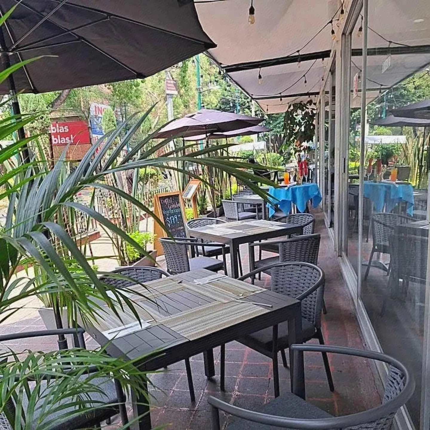 Hotel Century Reforma Bar