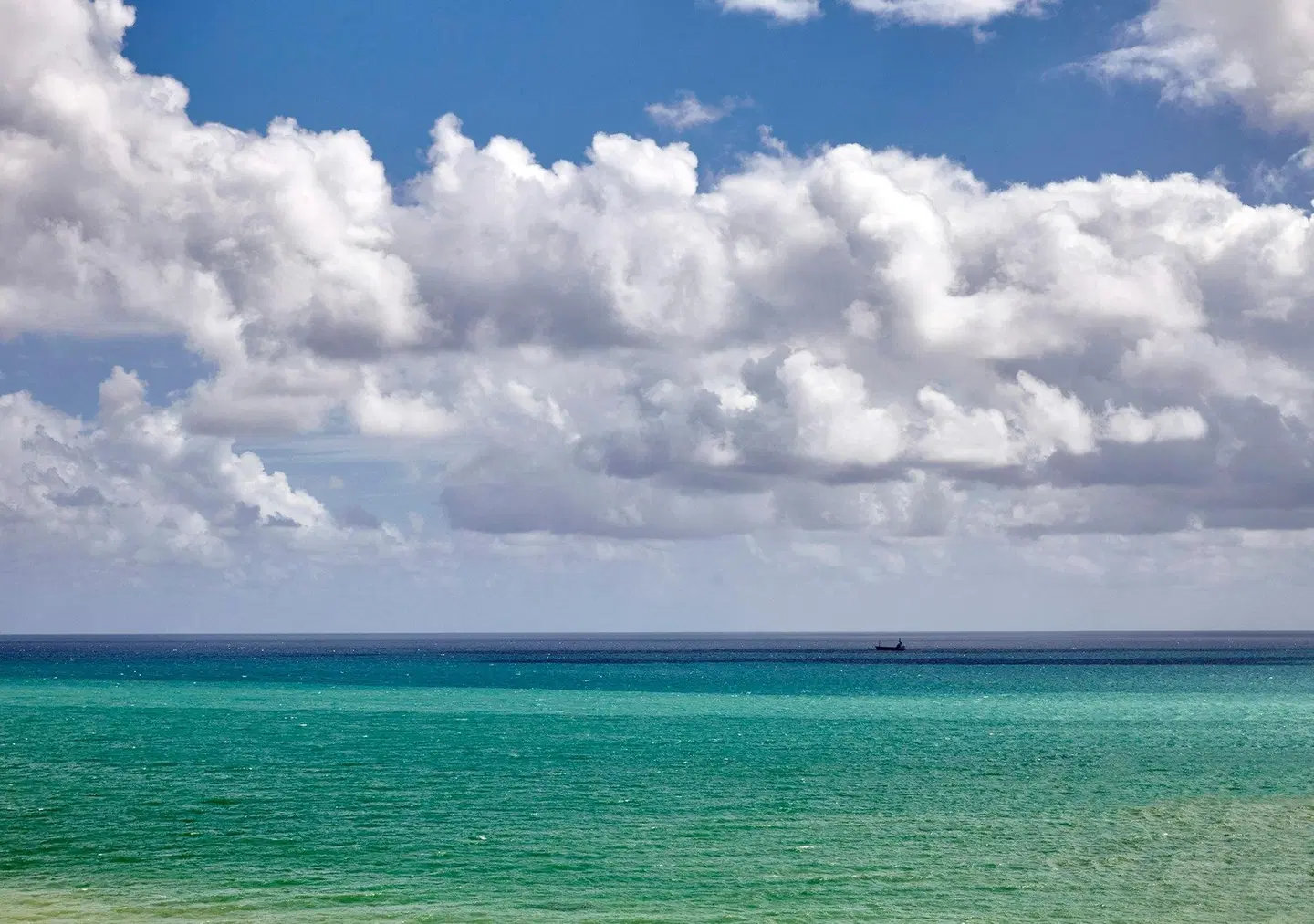 Loews Miami Beach Hotel LANDSCAPE
