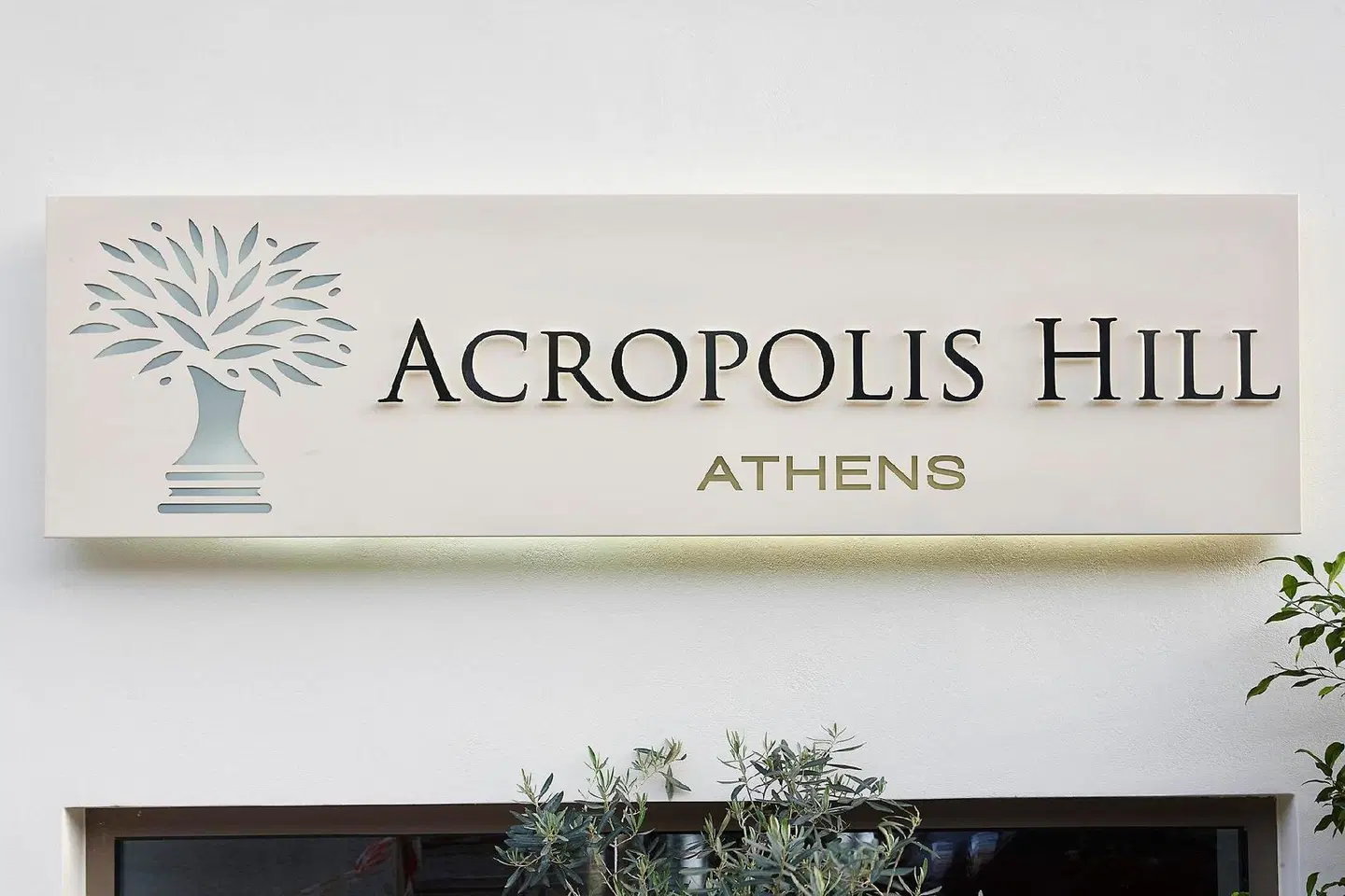 Acropolis Hill MODEL_IMPRESSION