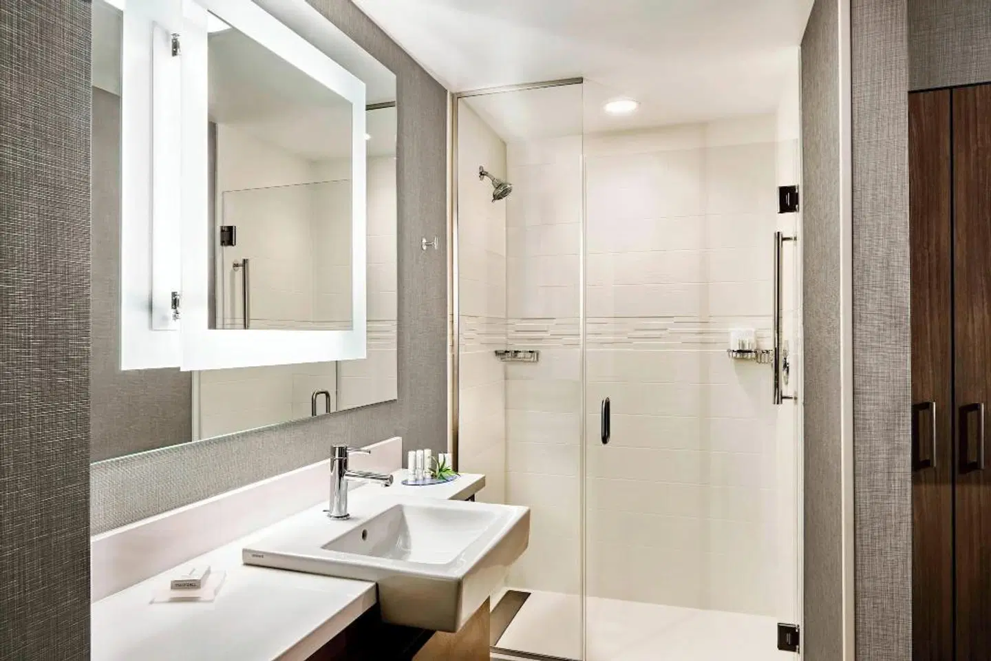 SpringHill Suites by Marriott Atlanta Alpharetta/Roswell Badezimmer