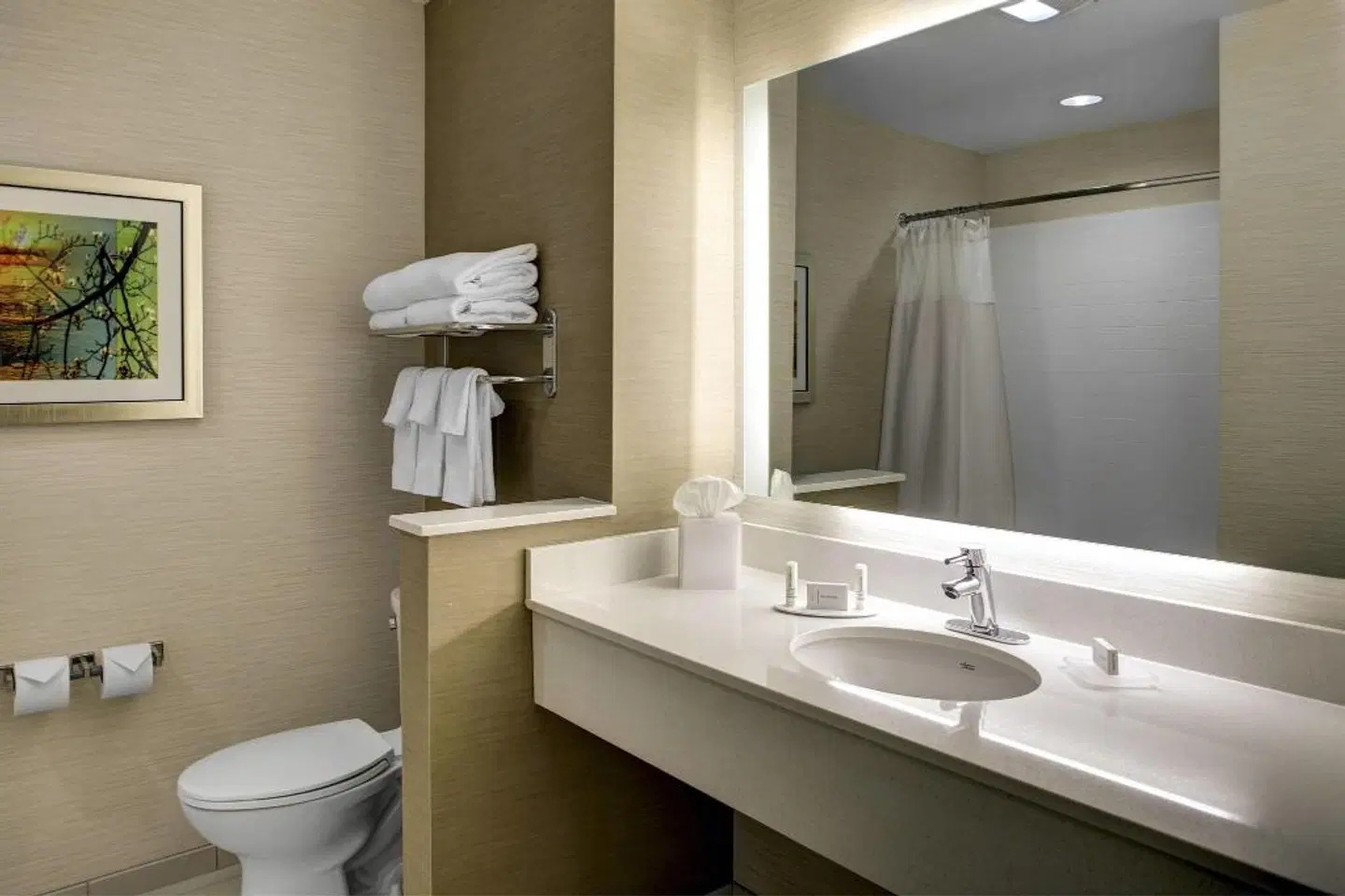 Fairfield by Marriott Inn & Suites Atlanta Stockbridge Badezimmer