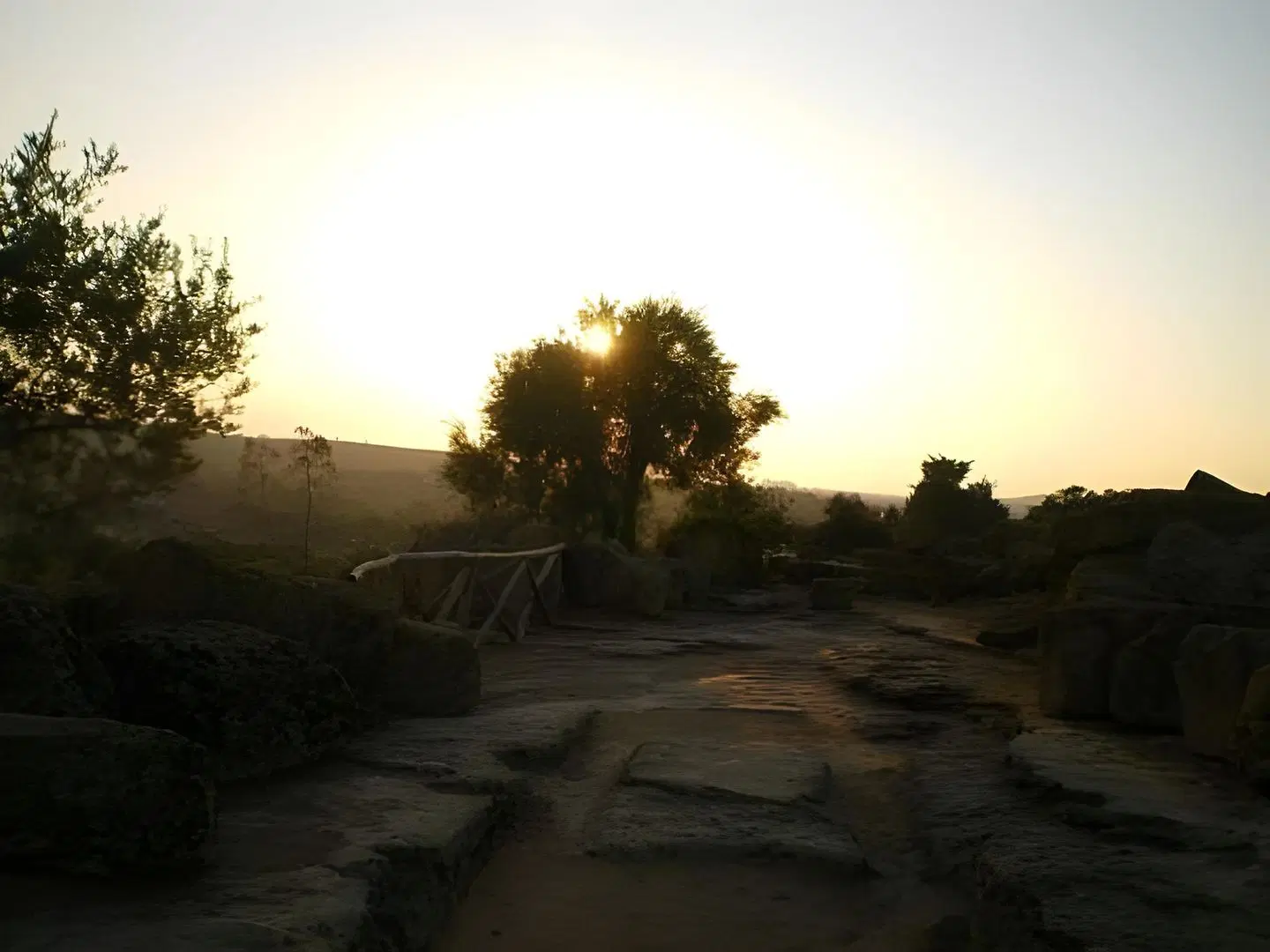 Sogni D'Oro LANDSCAPE