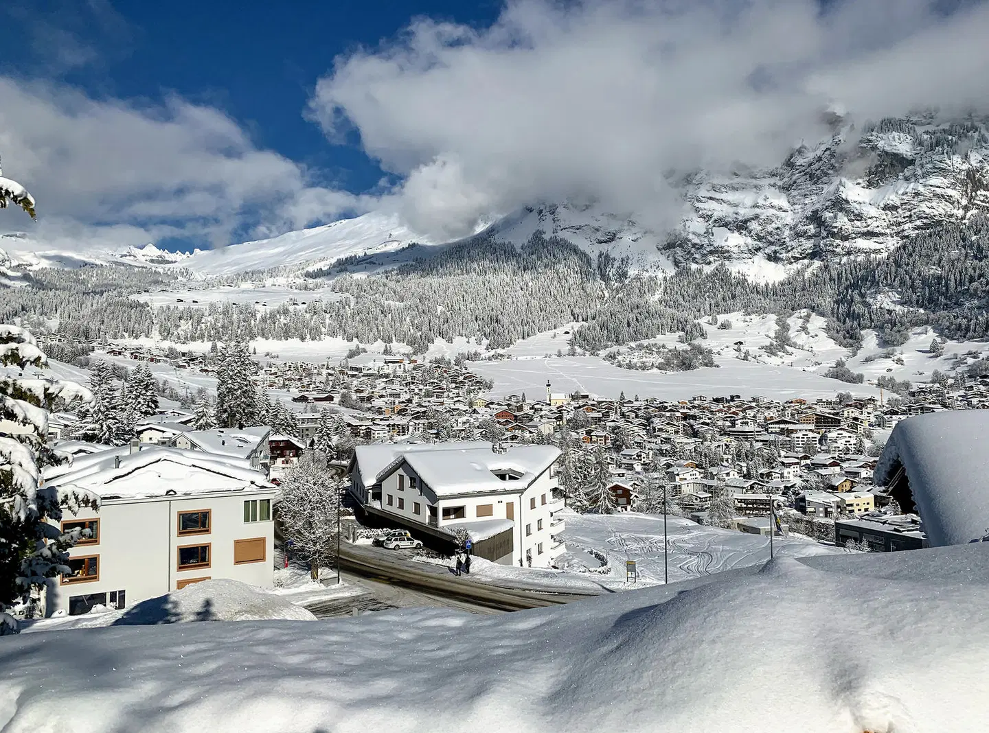 Mira Val LANDSCAPE