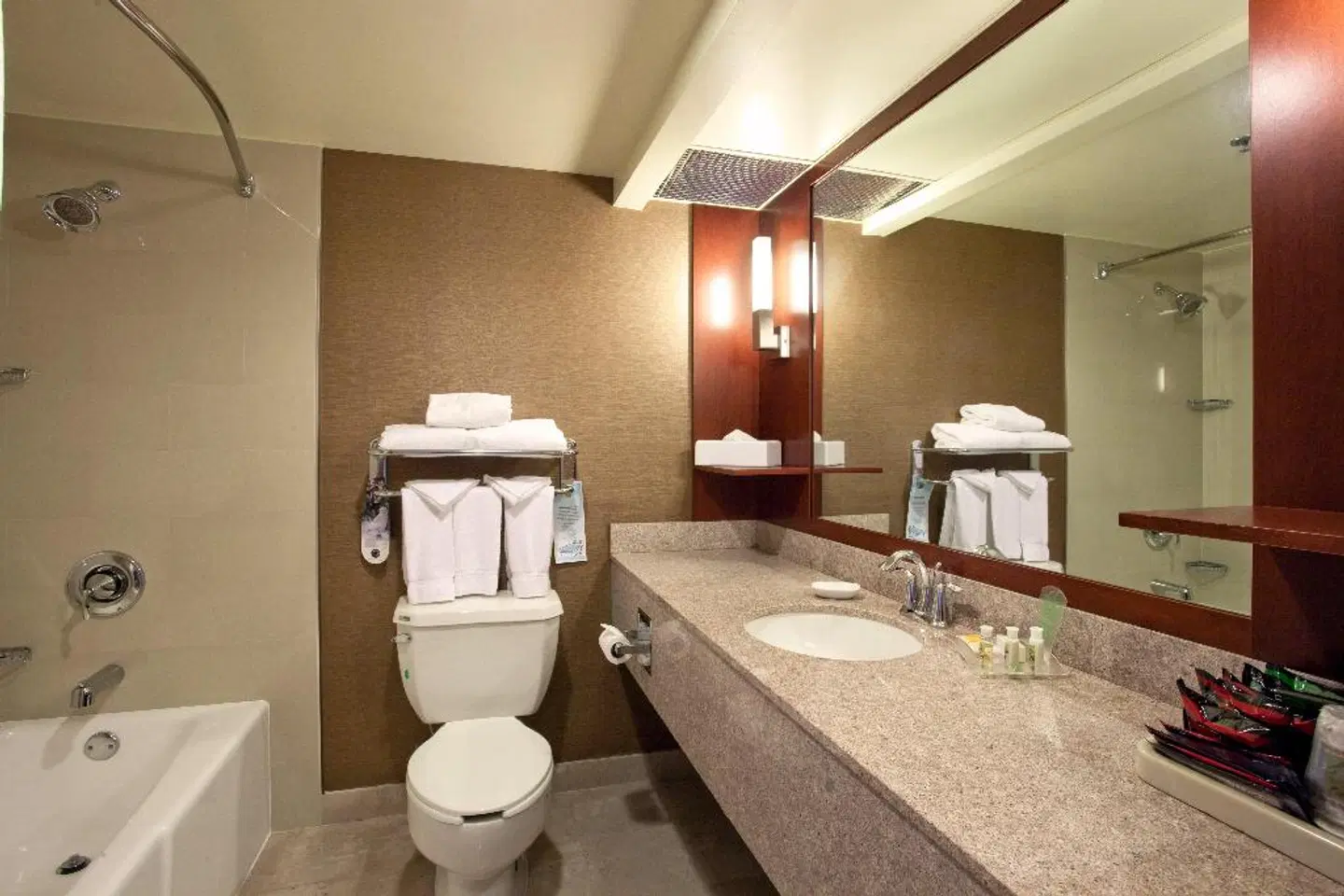 Holiday Inn Torrance Badezimmer