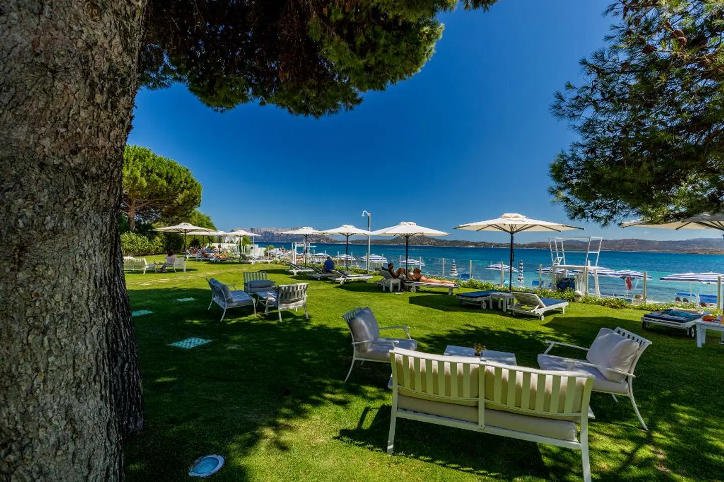 The Pelican Beach Resort & SPA - Adults Only Garten