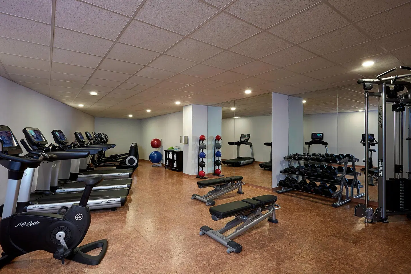 Ithaca Marriott Downtown on the Commons SPORTS_AND_LEISURE