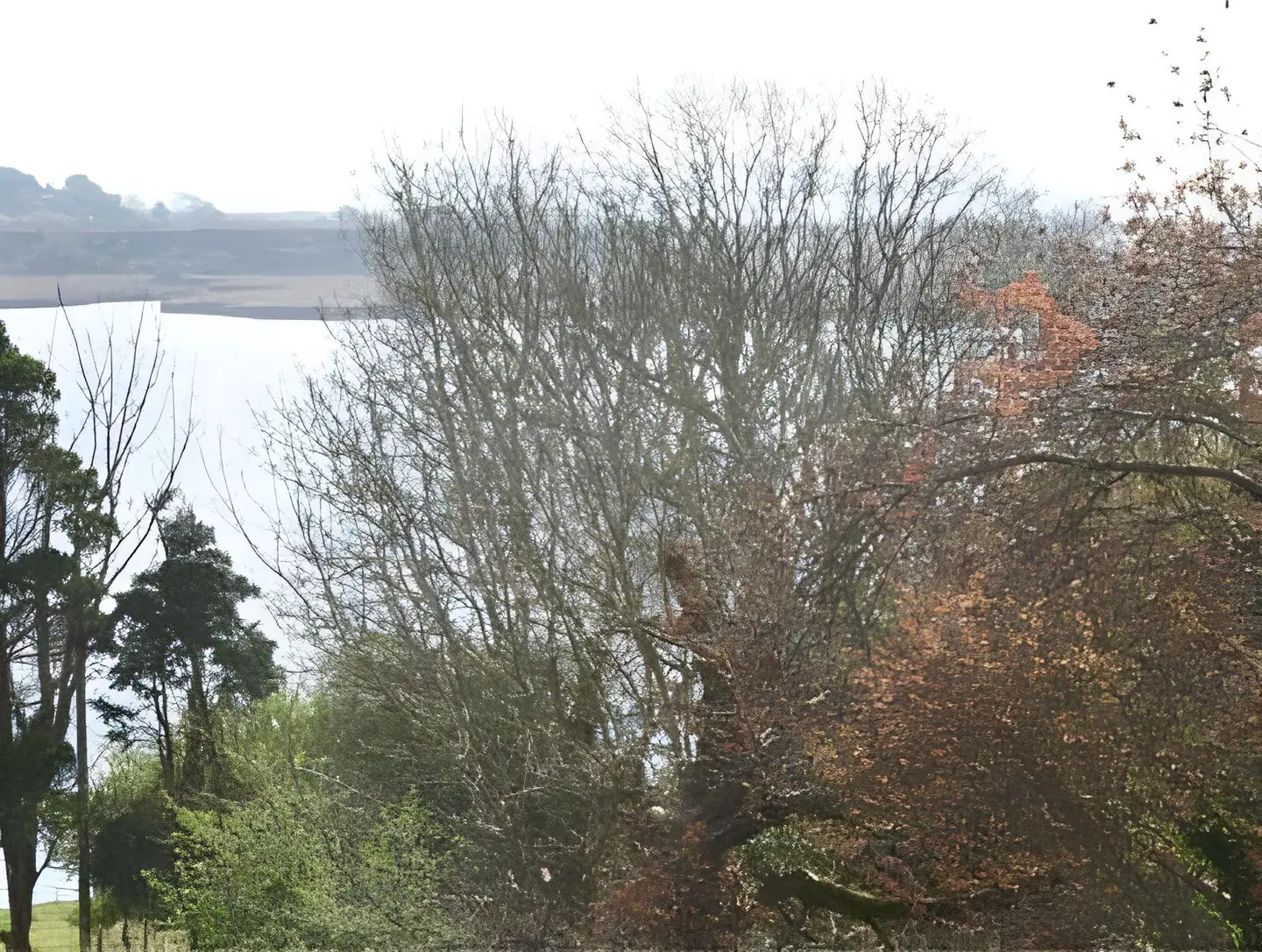 St. Judes Lodge LANDSCAPE